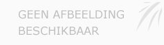 Afbeelding › Art & co